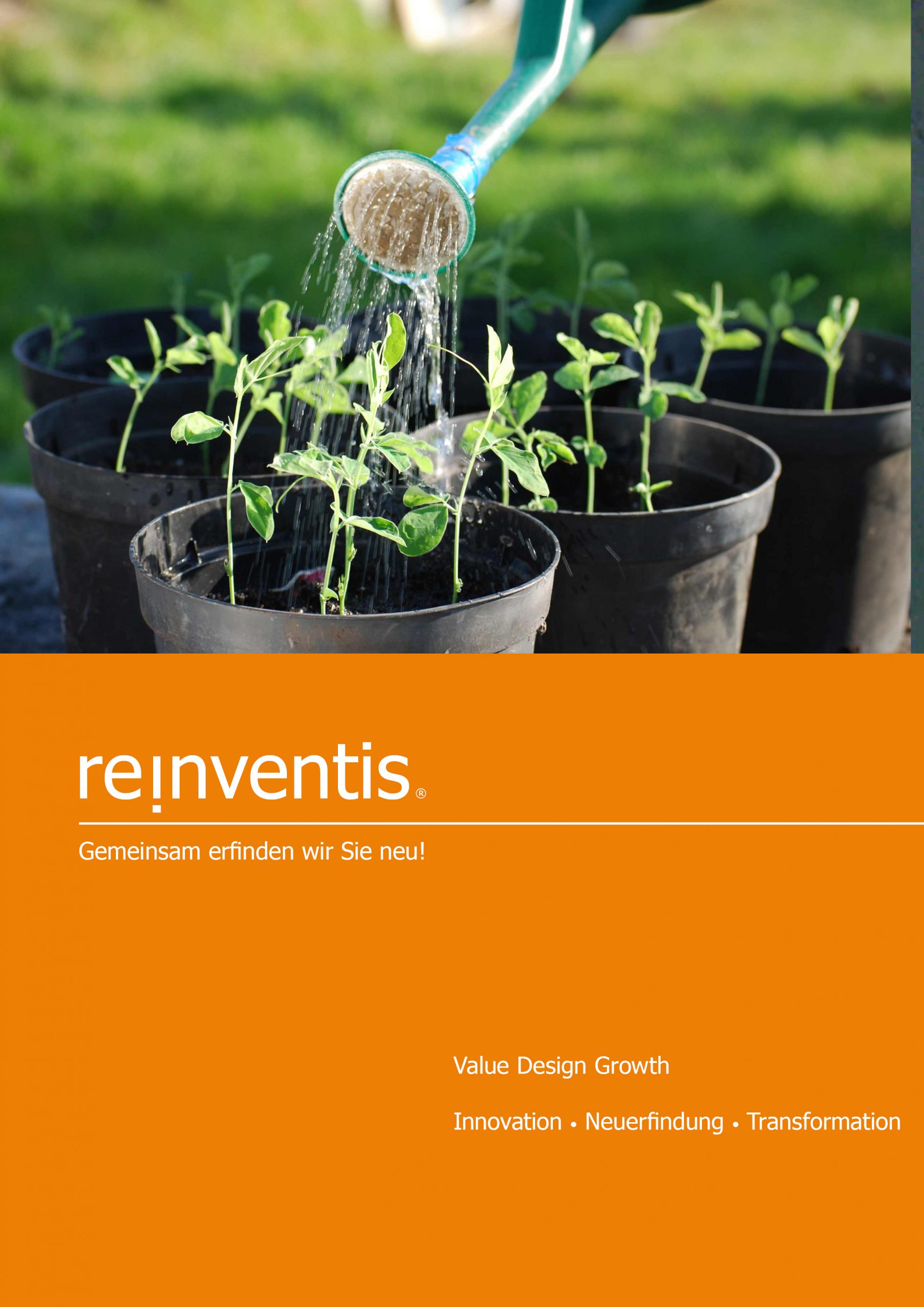 Value Design Growth - Innovation, Reinvention und Transformation - REINVENTIS - München